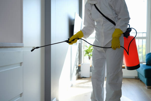 Best Mold Remediation for Specific Building Types in Pigeon Forge, TN